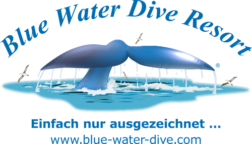 Blue Water Dive Resort Logo 500×286