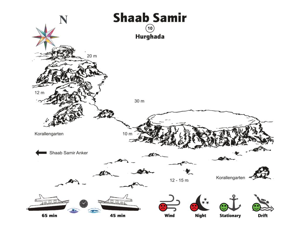 Das Delfinglück war heute wieder mit uns