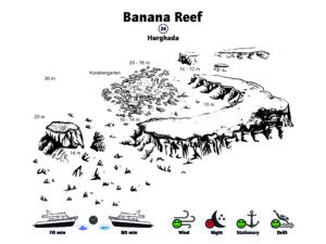 Beim Banana Reef gab es so viel zu sehen