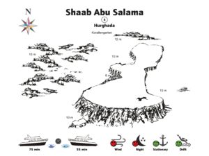 Shaab Abu Salama war heute großartig