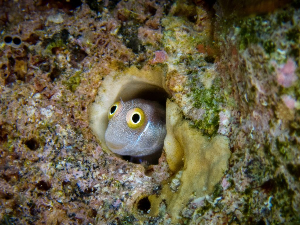 Es müssen nicht immer die großen Dinge sein
