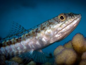 Im Norden war es heute wieder wundervoll