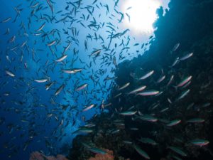 Ein sonniger Silvestertag am Panorama Reef