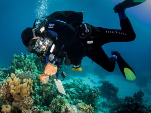 Am Samstag aus Hurghada: Der Rückblick