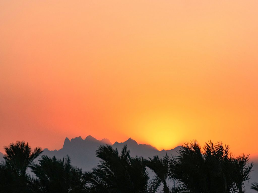 Der März ist da – Rundblick über die Woche