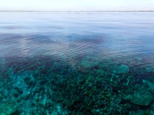 Hinein ins 28 Grad warme Wasser