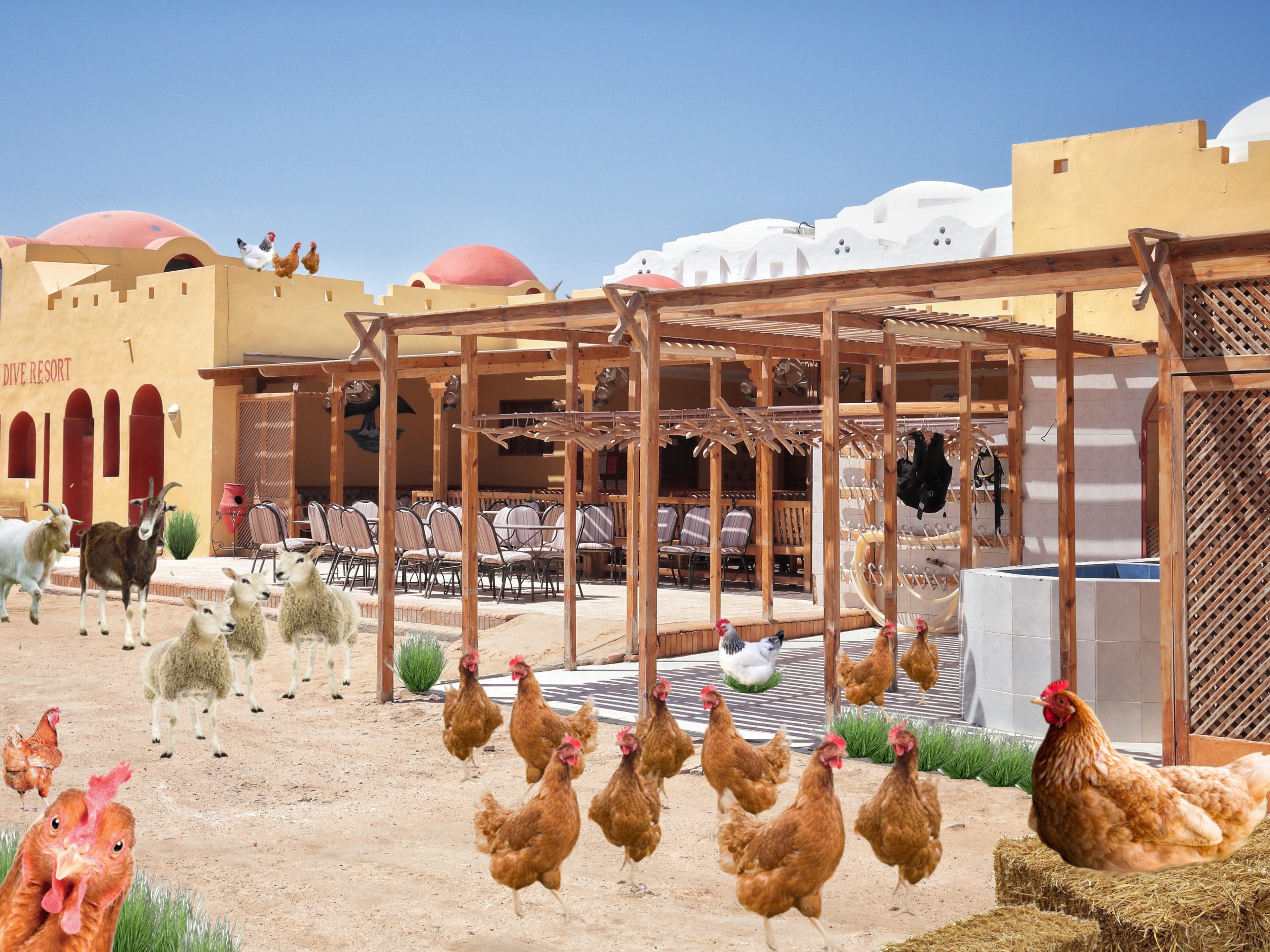 Lebenshof-Hurghada
