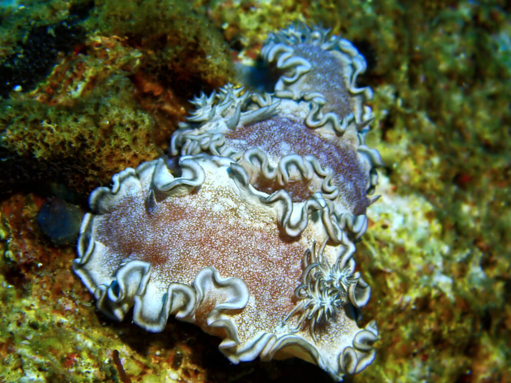 Das Rote Meer hat schon auf uns gewartet