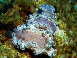 Das Rote Meer hat schon auf uns gewartet