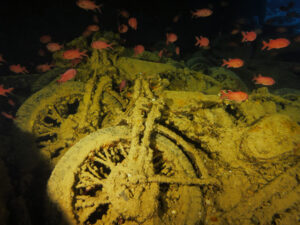 Early Morning Dive an der Thistlegorm