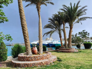 Tauchen und mehr - Die Woche im Rückblick