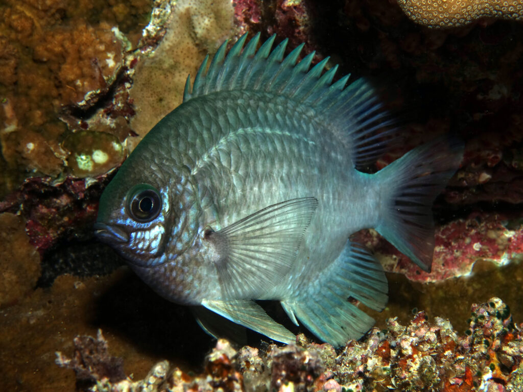 Auf großer Fahrt in Richtung Süden