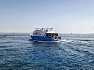 Aus Hurghada: Unser sonniger Rückblick