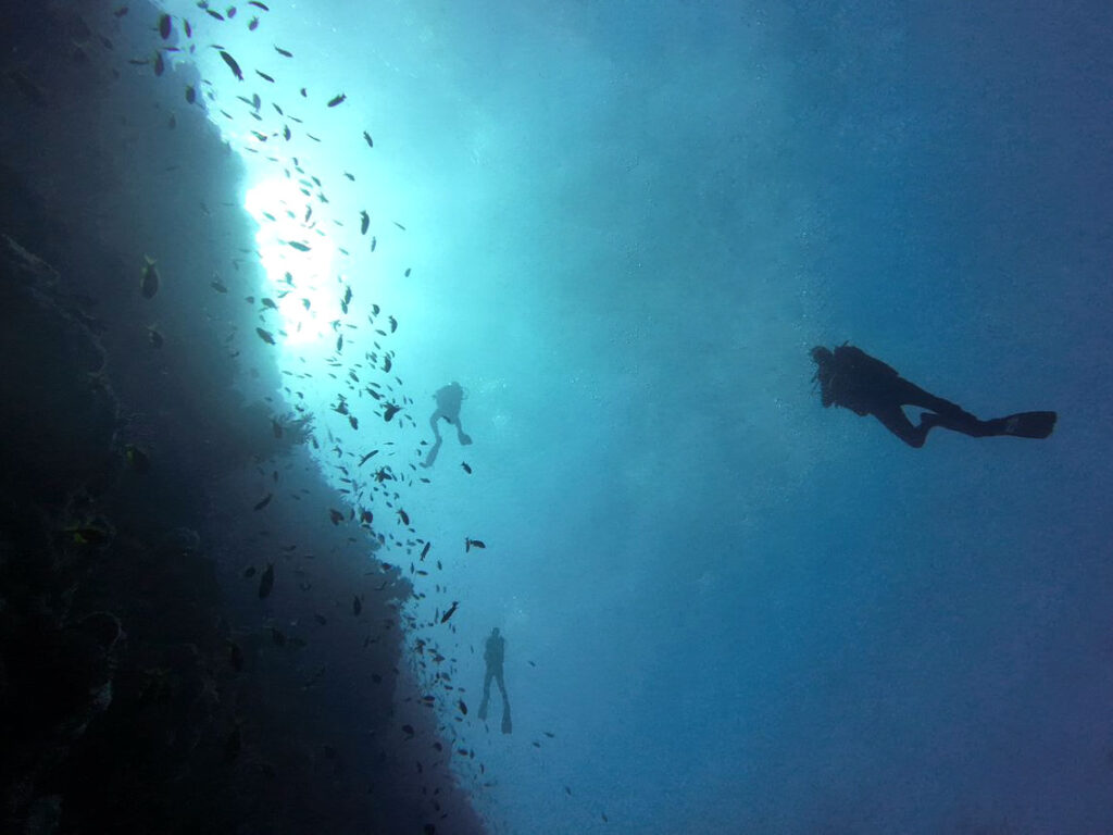Großes Glück beim Blick ins Blauwasser