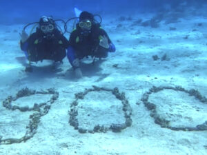 900 Tauchgänge und ein schöner Anglerfisch