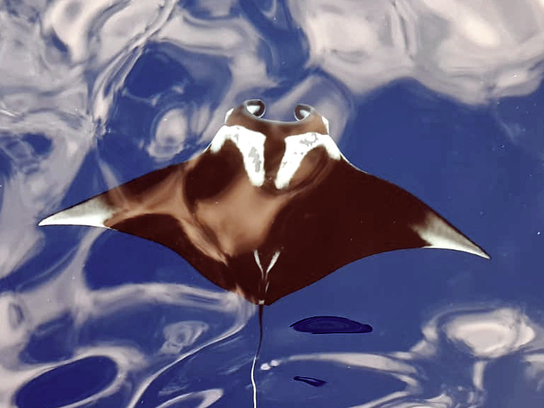 Wir konnten unser Glück kaum fassen