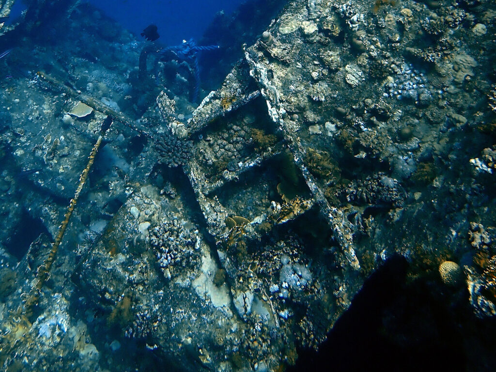 Ein neuer Tag mit neuen Erlebnissen