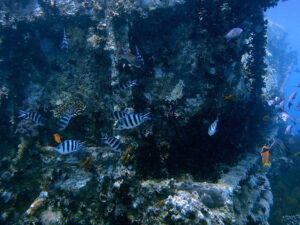 Im Norden wartete das Taucherglück aus Metall