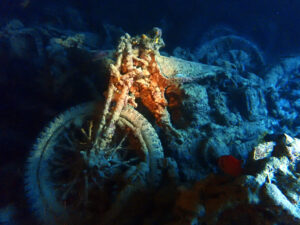 Ein Stück Geschichte beim Tauchen erleben