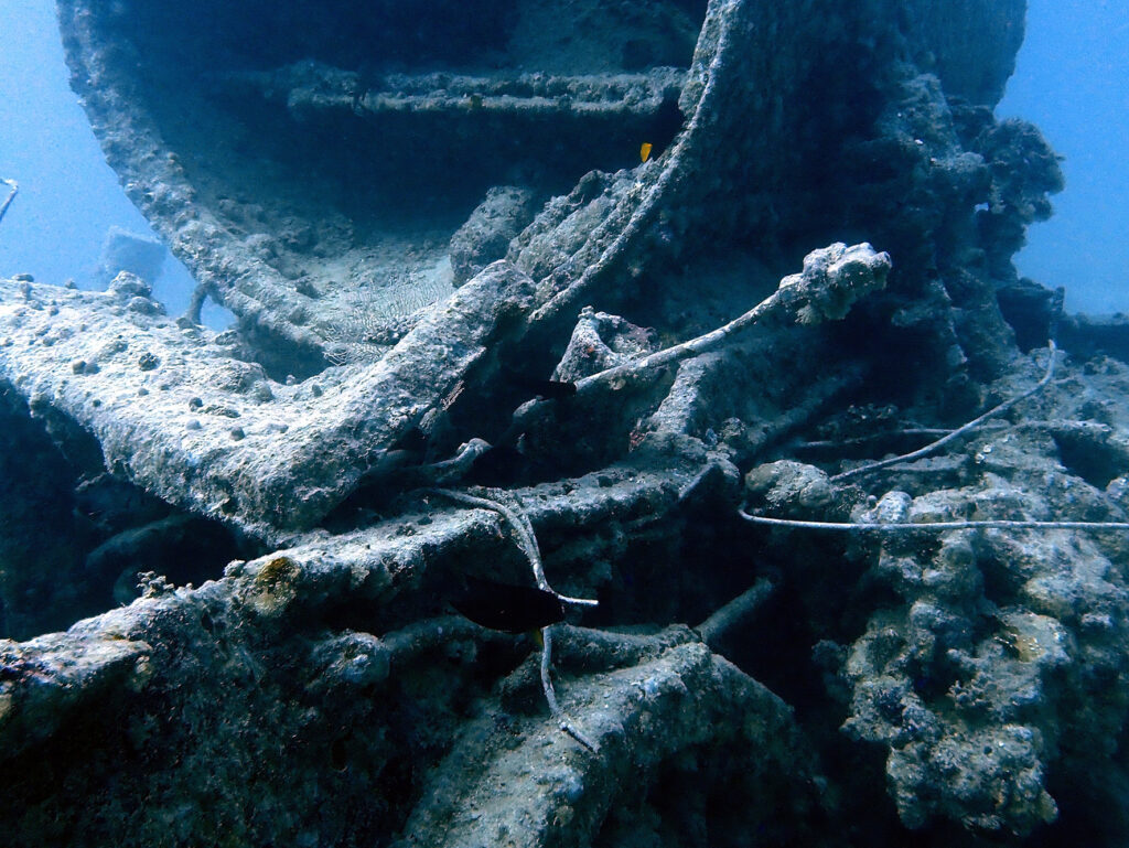 Thistlegorm