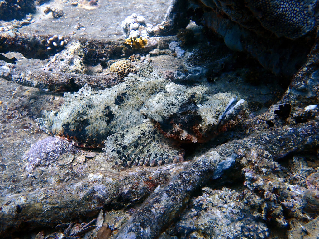 Zum Jahresende einmal in den hohen Norden