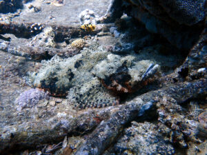 Zum Jahresende einmal in den hohen Norden