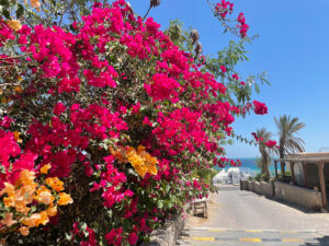 Die letzte Märzwoche im Rundblick – die News