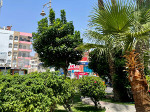 Dezember am Roten Meer – News der Woche