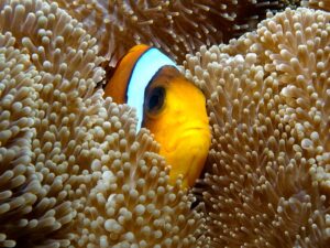 Ein warmer Sonnentag fast wie im Sommer