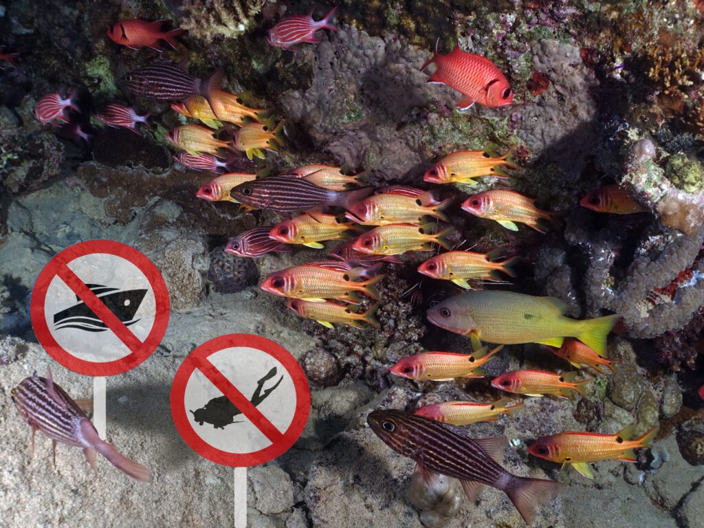 Wir bleiben am Strand und die Boote im Hafen