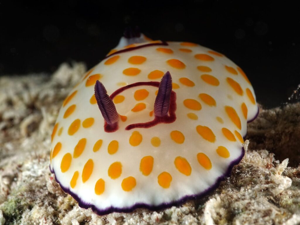 Das Leben steckt voller schöner Momente