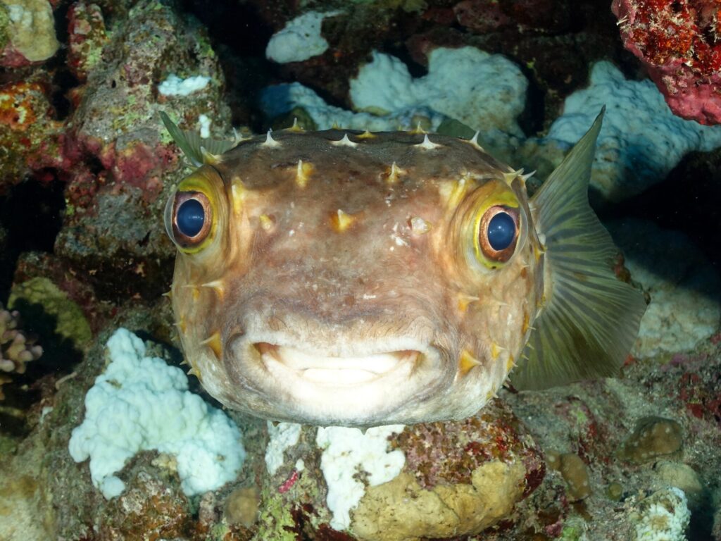 Farben, Fisch und faszinierende Begegnungen