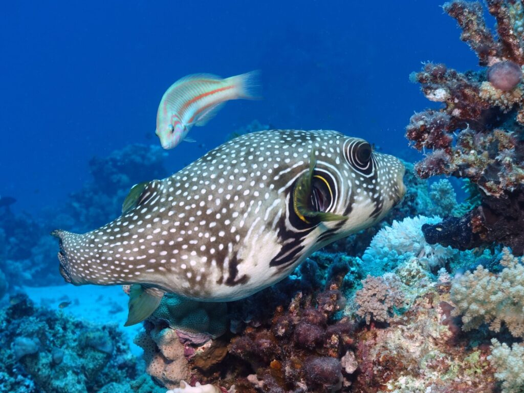 Frisch und fröhlich in den Freitag