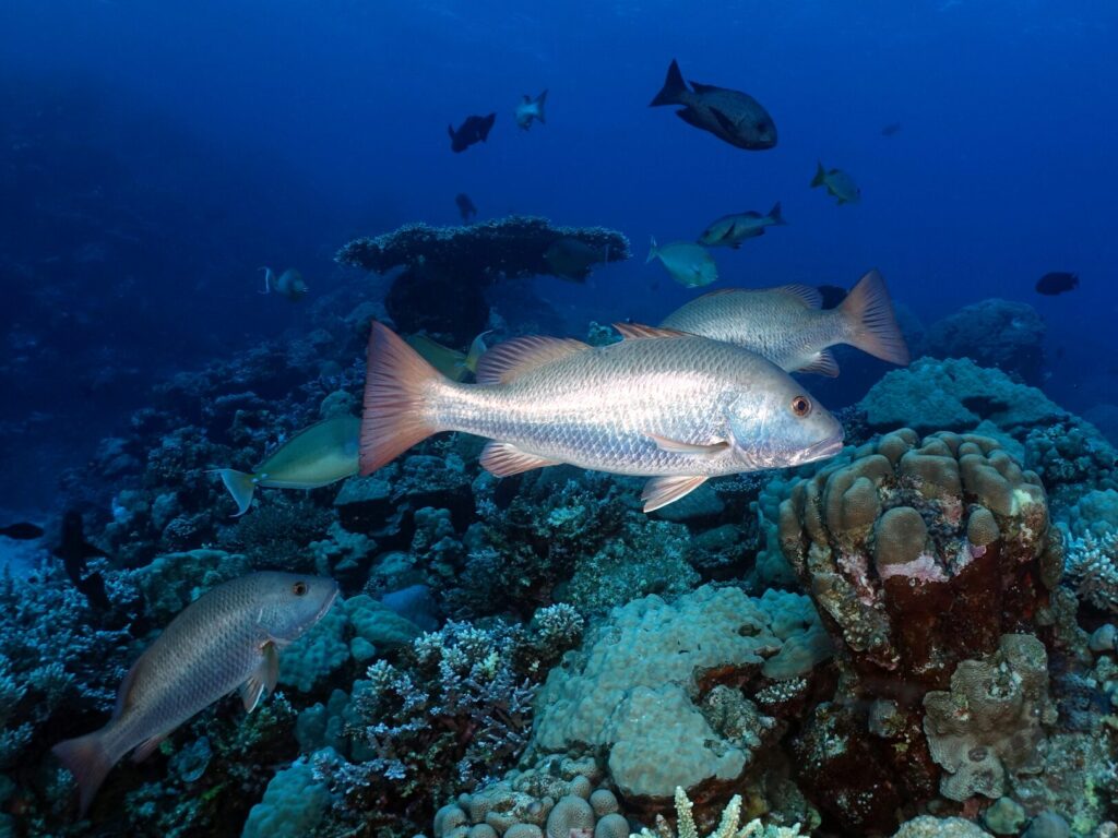 Stationär und gemütlich an den Blöcken entlang