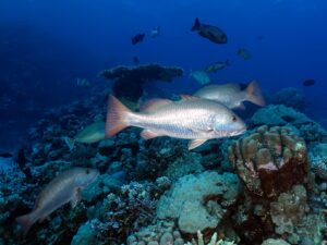 Stationär und gemütlich an den Blöcken entlang