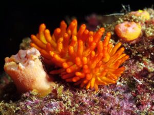 Die Strömung schickte uns auf Entdeckungsreise