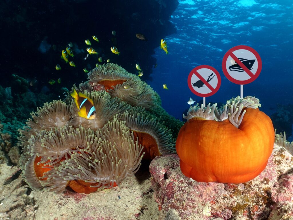 Heute bleiben wir am Strand – das Meer ist zu