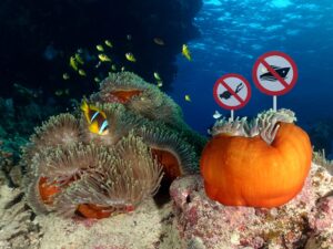 Heute bleiben wir am Strand – das Meer ist zu