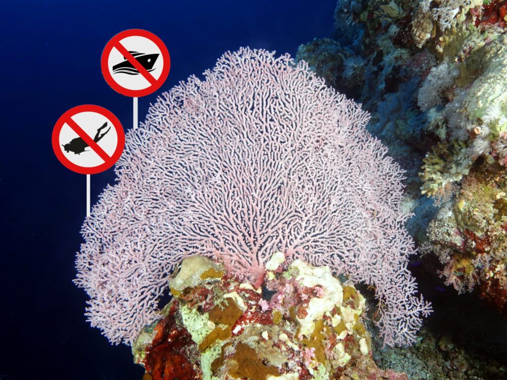 Der Wind entschied – der Strand rief