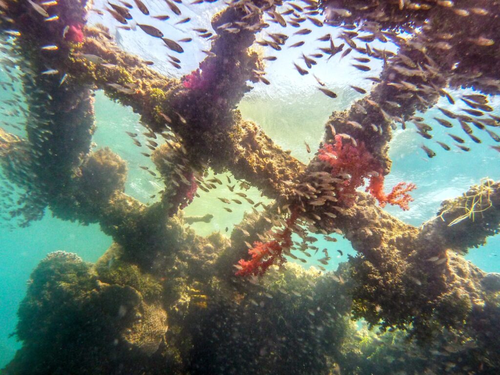 Lieber Schneckentempo oder ein flotter Drift