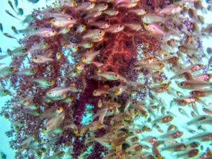 Ein Tag mit unvergesslichen Eindrücken