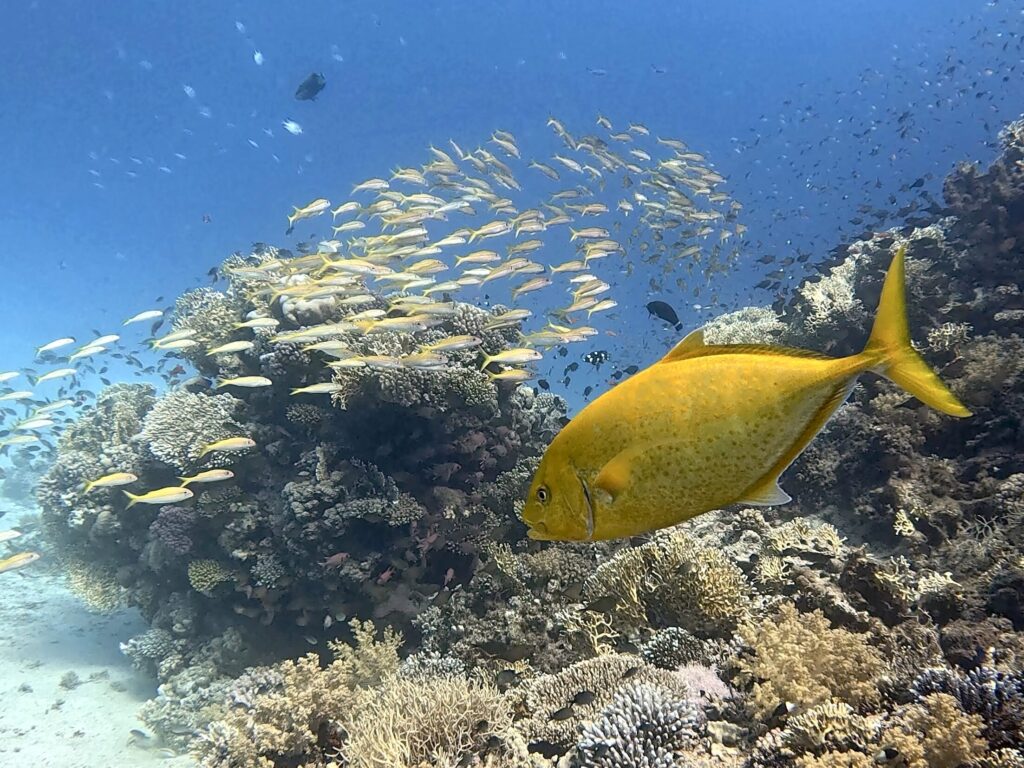 Gemütlich abtauchen Richtung Wochenende