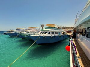 Wind im Segel, Flossen am Hausriff
