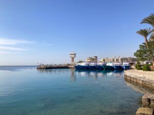 Neues und Spannendes frisch vom Roten Meer
