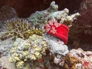 Sonne am Samstag und schöne Entdeckungen