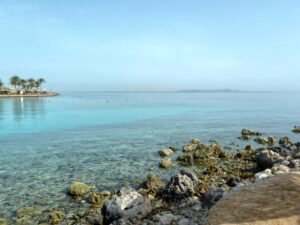 Unsere Woche am Roten Meer