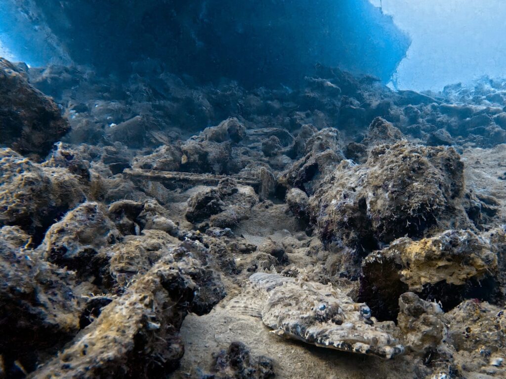 Wracks und mehr im warmen Roten Meer