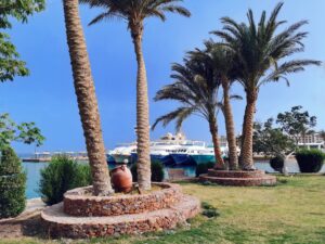 Aus Hurghada: Die News der letzten Woche