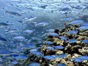 Perfekte Tarierung und ein Flug mit der Strömung