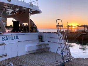 Neues aus Ägypten in unserer Rundschau